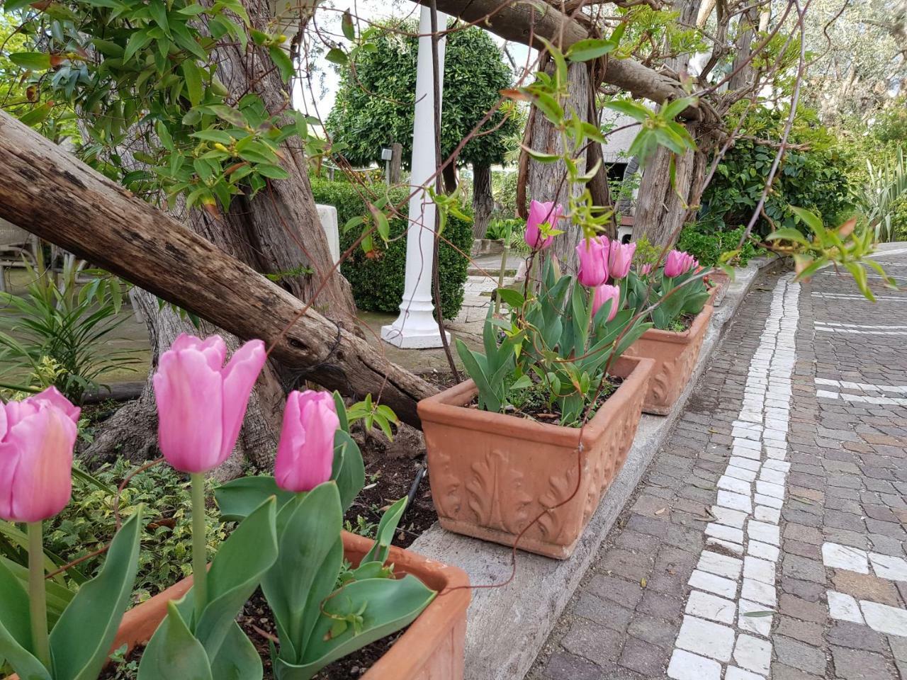 Villa Kalimera Sorrento Exterior foto